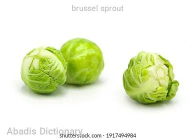 brussel sprout